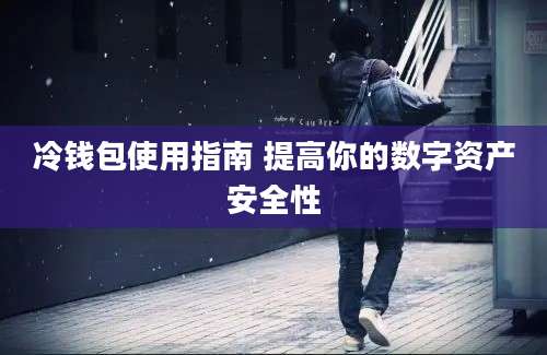 冷钱包使用指南 提高你的数字资产安全性