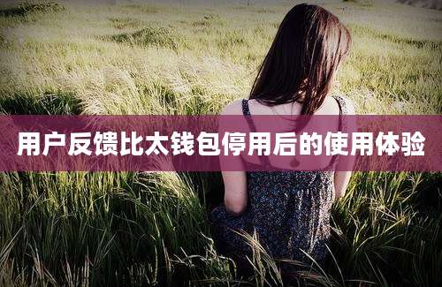 用户反馈比太钱包停用后的使用体验
