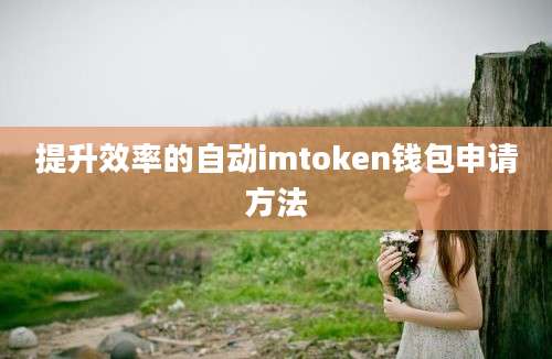 提升效率的自动imtoken钱包申请方法