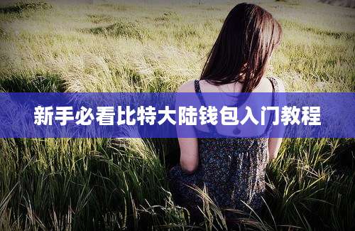 新手必看比特大陆钱包入门教程