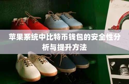 苹果系统中比特币钱包的安全性分析与提升方法