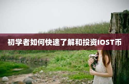 初学者如何快速了解和投资IOST币