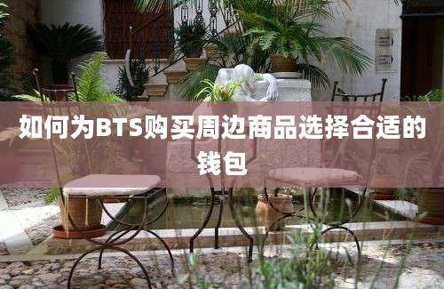 如何为BTS购买周边商品选择合适的钱包