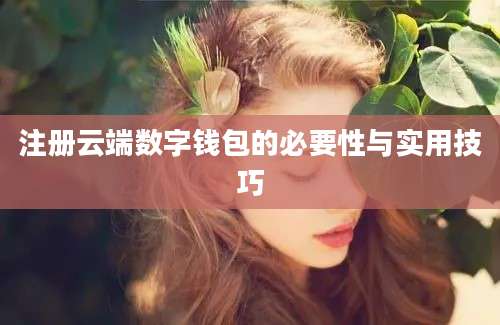 注册云端数字钱包的必要性与实用技巧