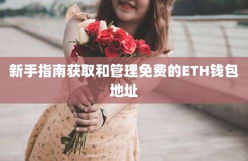 新手指南获取和管理免费的ETH钱包地址