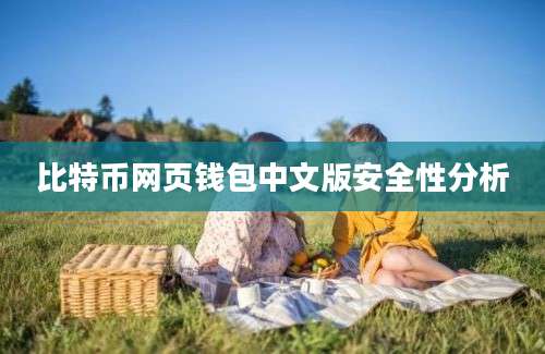 比特币网页钱包中文版安全性分析