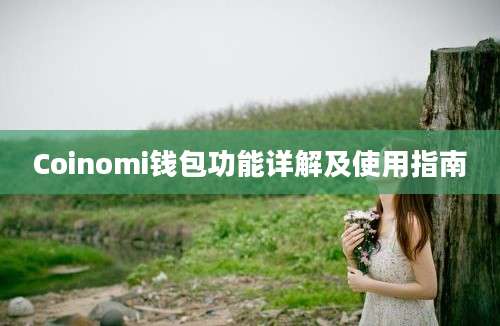 Coinomi钱包功能详解及使用指南