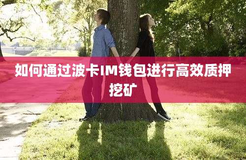 如何通过波卡IM钱包进行高效质押挖矿