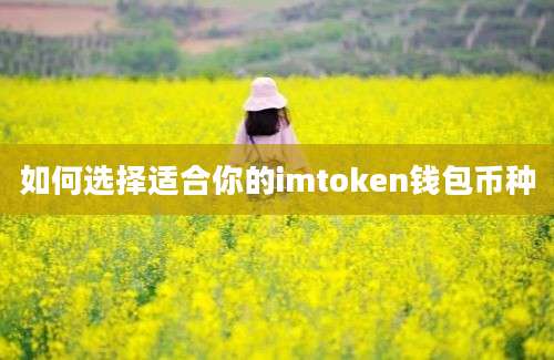 如何选择适合你的imtoken钱包币种