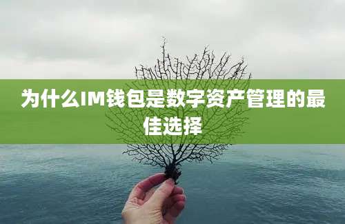 为什么IM钱包是数字资产管理的最佳选择