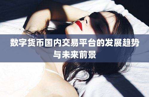 数字货币国内交易平台的发展趋势与未来前景