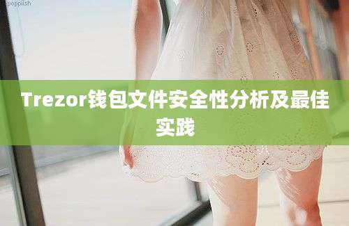 Trezor钱包文件安全性分析及最佳实践