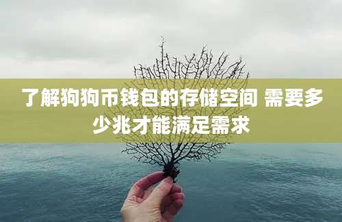 了解狗狗币钱包的存储空间 需要多少兆才能满足需求
