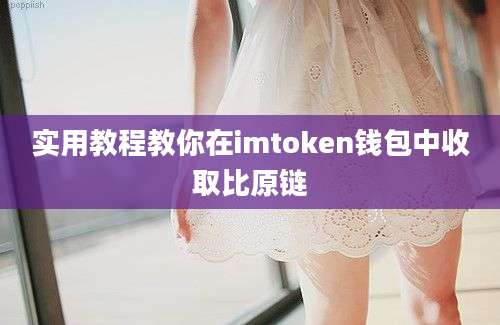 实用教程教你在imtoken钱包中收取比原链