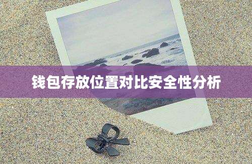 钱包存放位置对比安全性分析