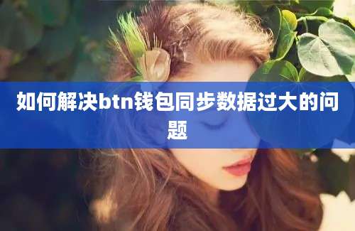 如何解决btn钱包同步数据过大的问题