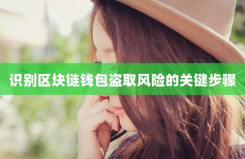 识别区块链钱包盗取风险的关键步骤