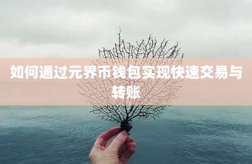 如何通过元界币钱包实现快速交易与转账