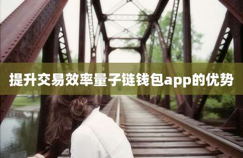 提升交易效率量子链钱包app的优势