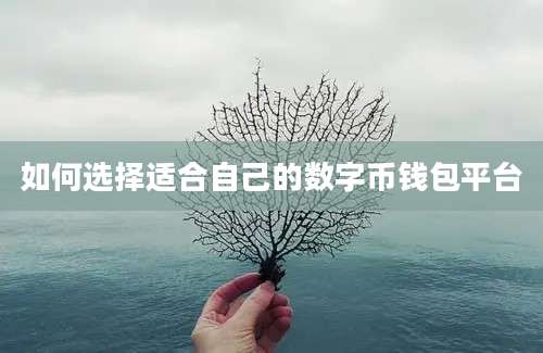 如何选择适合自己的数字币钱包平台