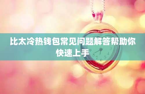 比太冷热钱包常见问题解答帮助你快速上手