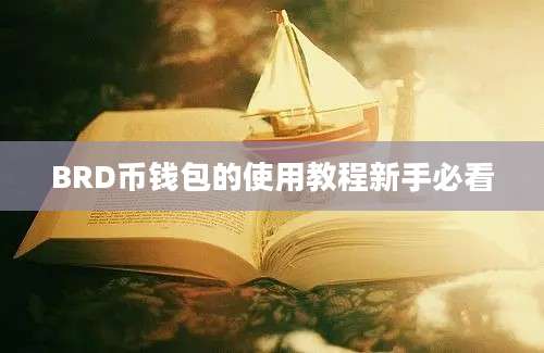 BRD币钱包的使用教程新手必看
