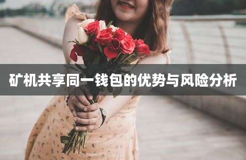 矿机共享同一钱包的优势与风险分析