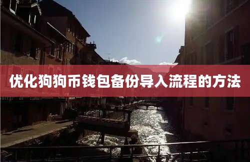 优化狗狗币钱包备份导入流程的方法