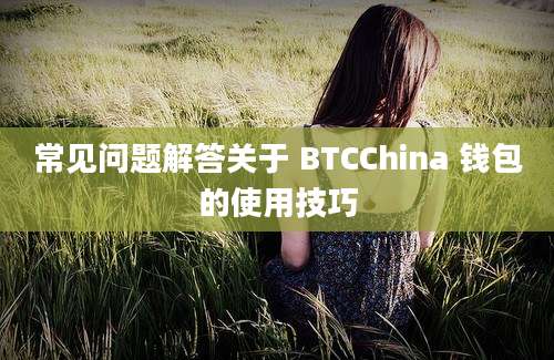 常见问题解答关于 BTCChina 钱包的使用技巧