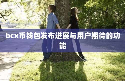 bcx币钱包发布进展与用户期待的功能