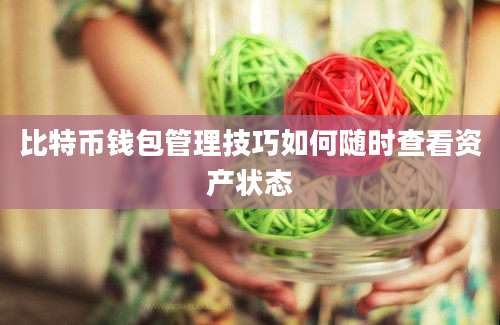 比特币钱包管理技巧如何随时查看资产状态