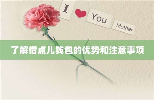 了解借点儿钱包的优势和注意事项