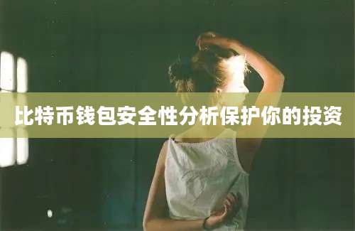 比特币钱包安全性分析保护你的投资