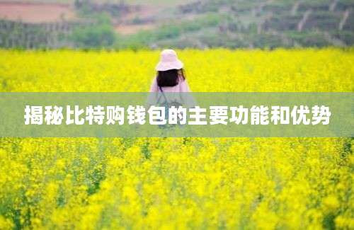 揭秘比特购钱包的主要功能和优势