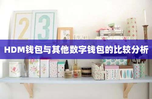 HDM钱包与其他数字钱包的比较分析