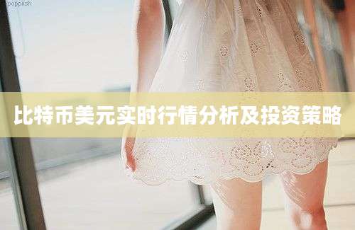 比特币美元实时行情分析及投资策略