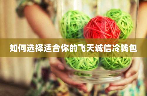 如何选择适合你的飞天诚信冷钱包