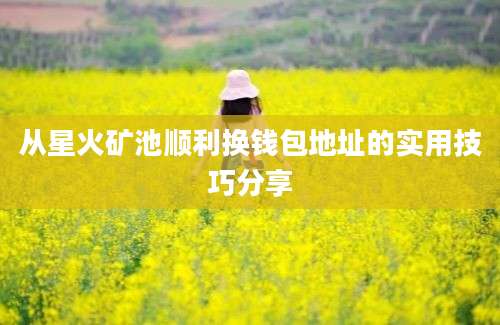 从星火矿池顺利换钱包地址的实用技巧分享