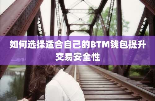 如何选择适合自己的BTM钱包提升交易安全性