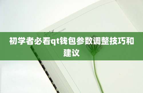 初学者必看qt钱包参数调整技巧和建议