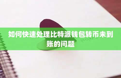 如何快速处理比特派钱包转币未到账的问题