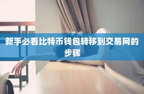 新手必看比特币钱包转移到交易网的步骤