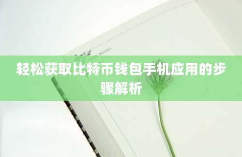 轻松获取比特币钱包手机应用的步骤解析