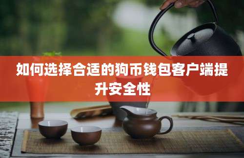 如何选择合适的狗币钱包客户端提升安全性