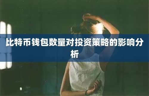 比特币钱包数量对投资策略的影响分析