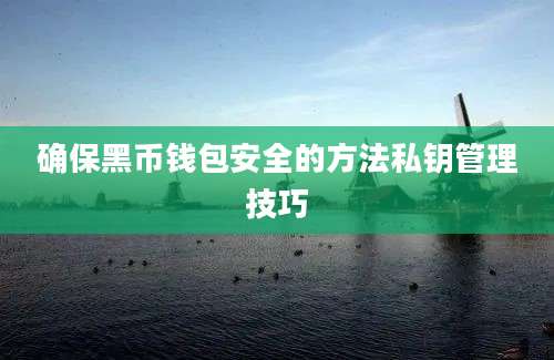 确保黑币钱包安全的方法私钥管理技巧