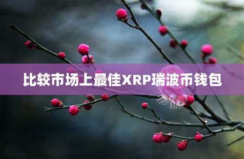 比较市场上最佳XRP瑞波币钱包